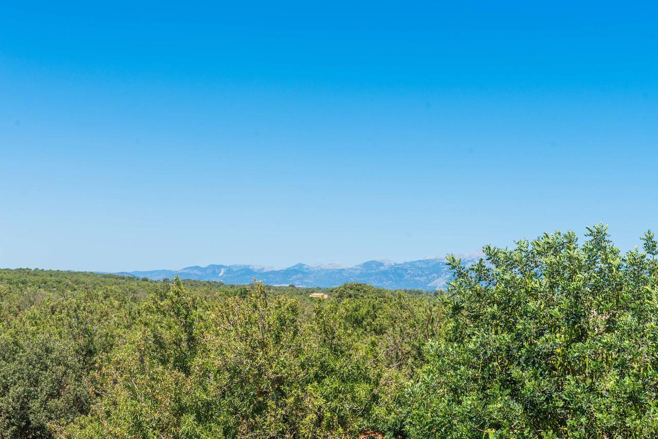 Clau De Sol Villa Can Picafort  Dış mekan fotoğraf