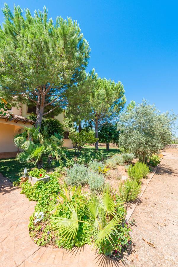 Clau De Sol Villa Can Picafort  Dış mekan fotoğraf