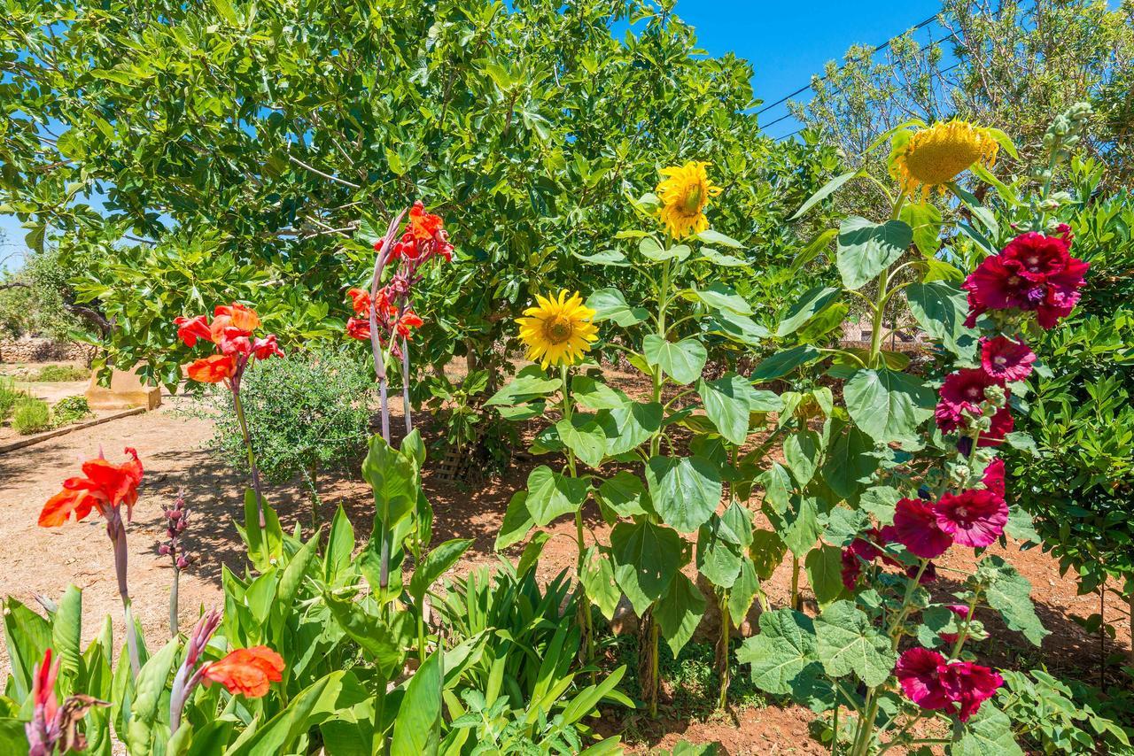 Clau De Sol Villa Can Picafort  Dış mekan fotoğraf