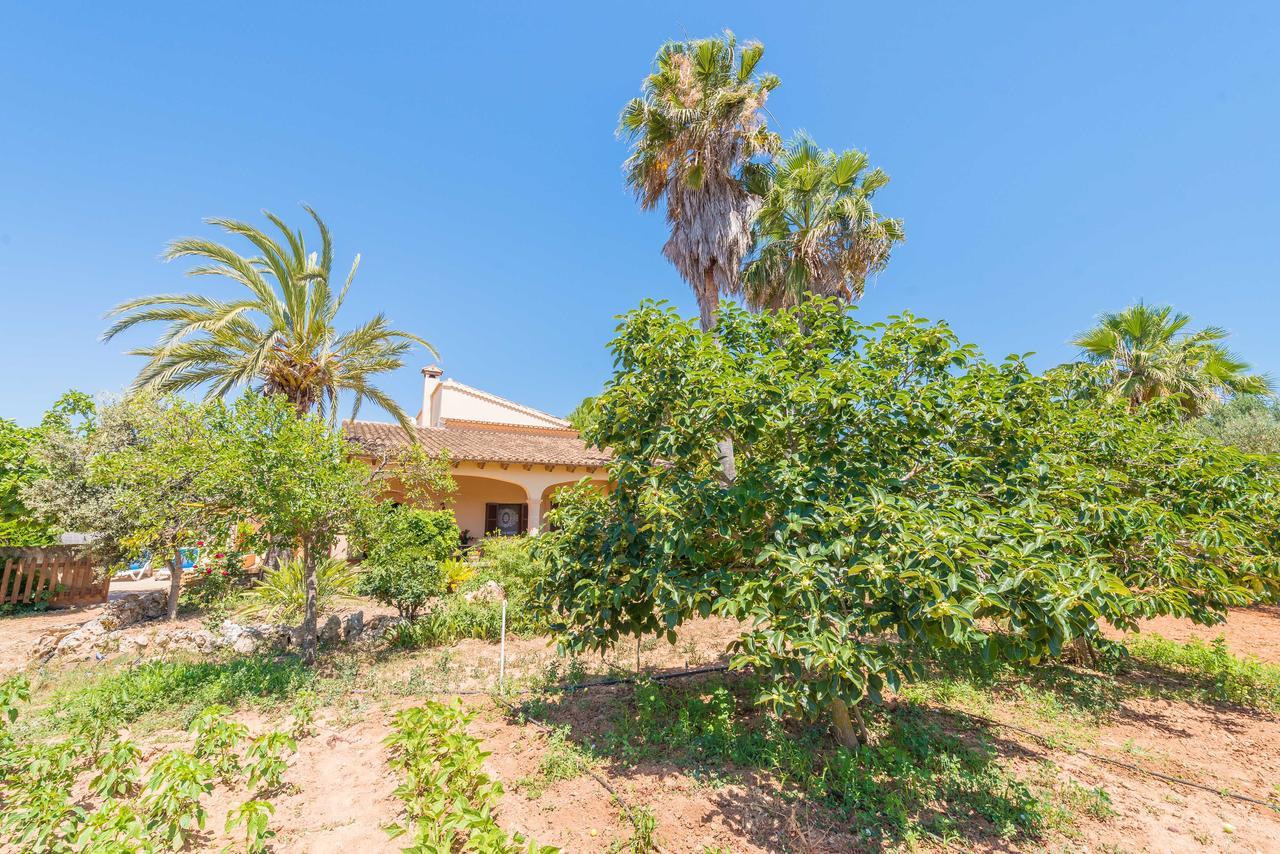 Clau De Sol Villa Can Picafort  Dış mekan fotoğraf