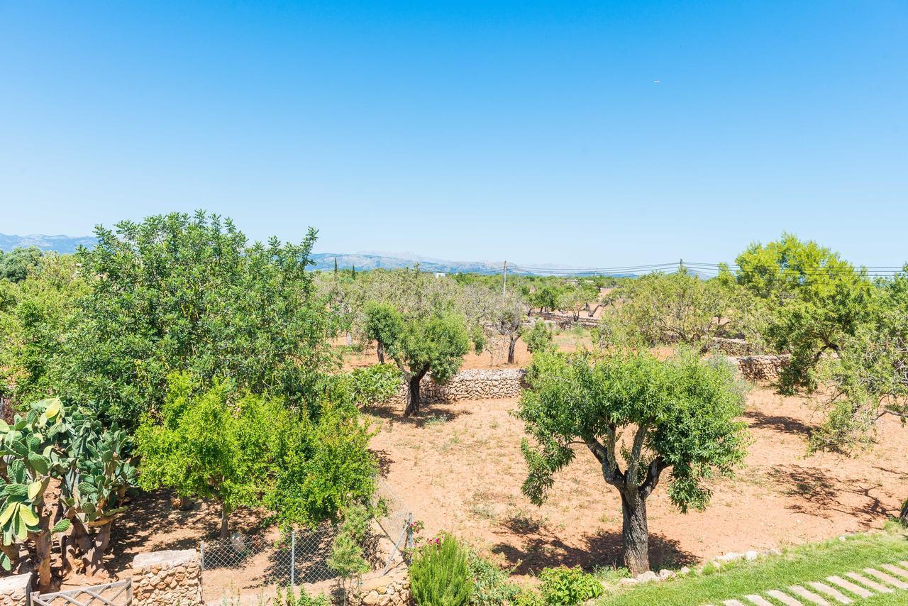 Clau De Sol Villa Can Picafort  Dış mekan fotoğraf