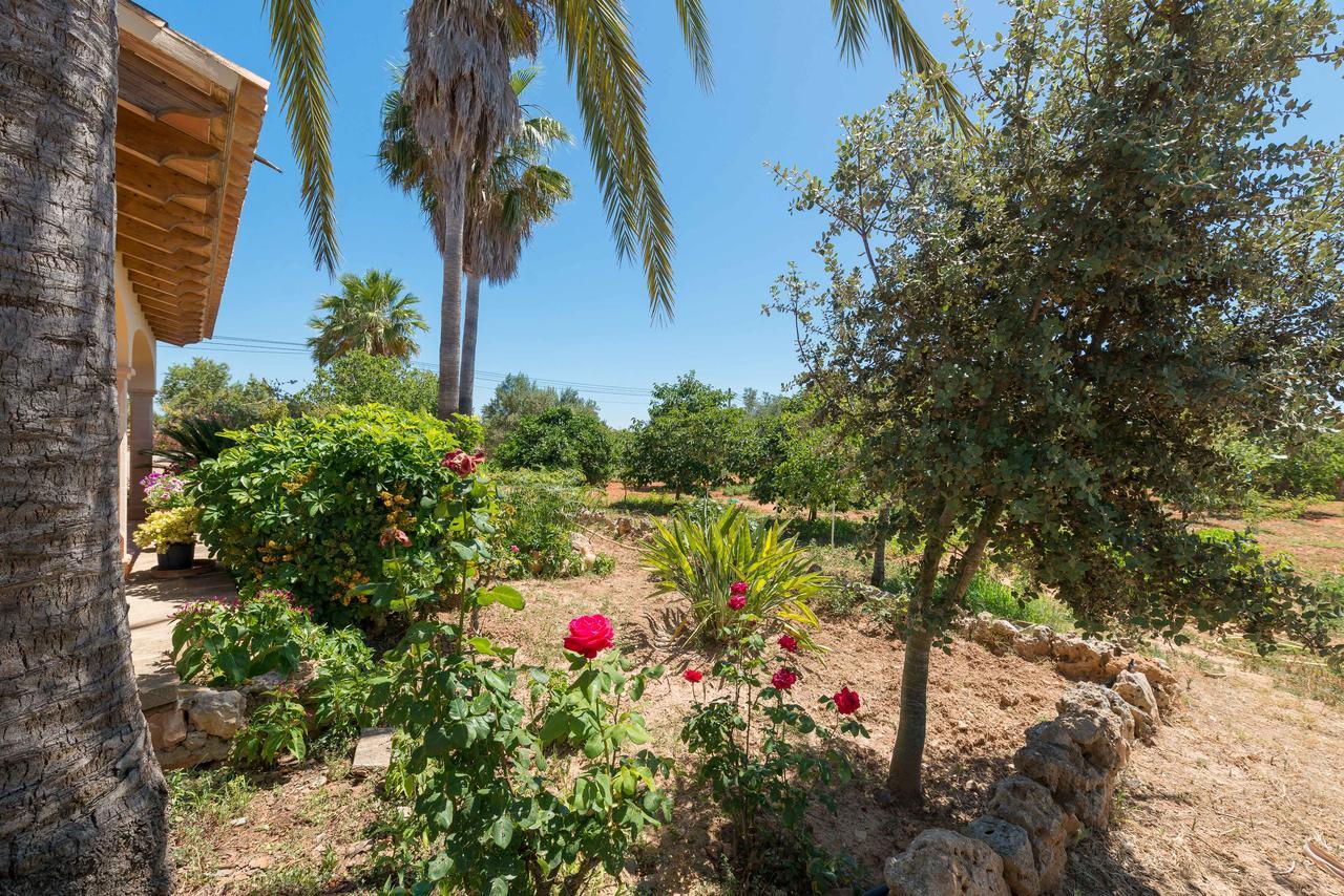 Clau De Sol Villa Can Picafort  Dış mekan fotoğraf