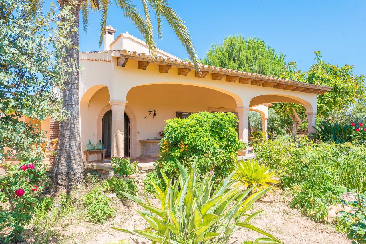 Clau De Sol Villa Can Picafort  Dış mekan fotoğraf
